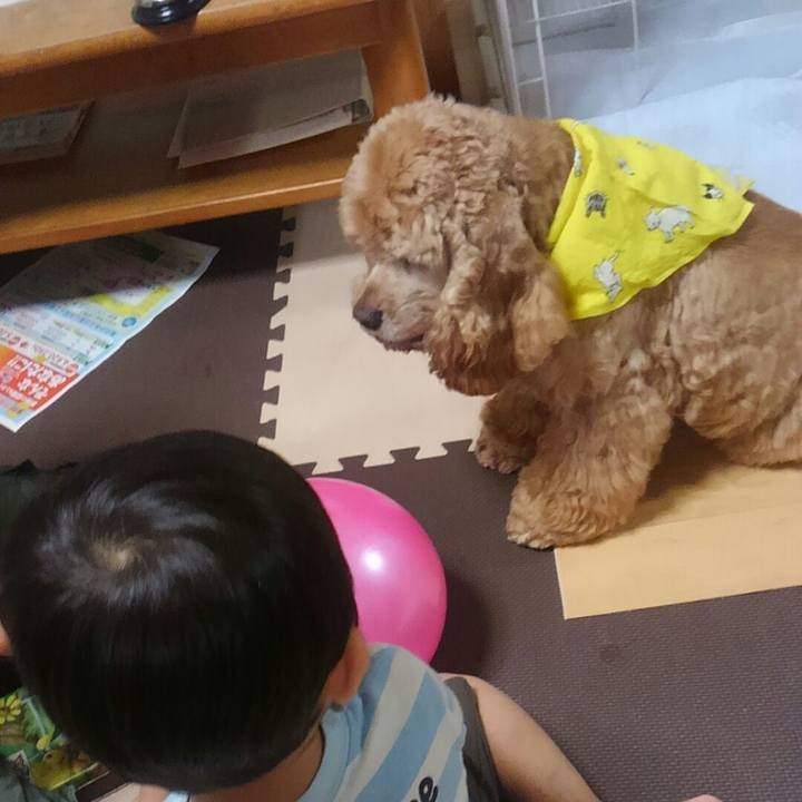 47109b27 4766 4719 a7d4 d6ae6b1b2707