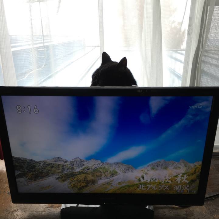 47112f64 4861 4c31 95da fd7f5f30b526