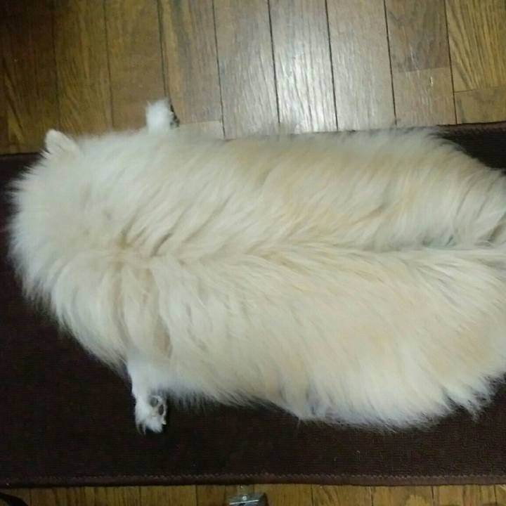 47115743 b413 4654 8811 887974821685