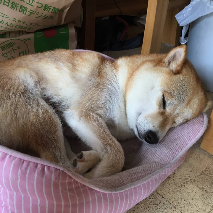 4712496f 7919 4466 8d0d d4de5f5919dc