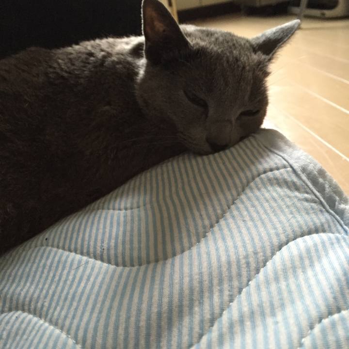 471308b9 3d82 46a7 acaa dbae5492a1f3