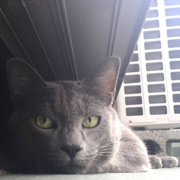 4714105f bf4d 468c 9263 ab6c37167b2c