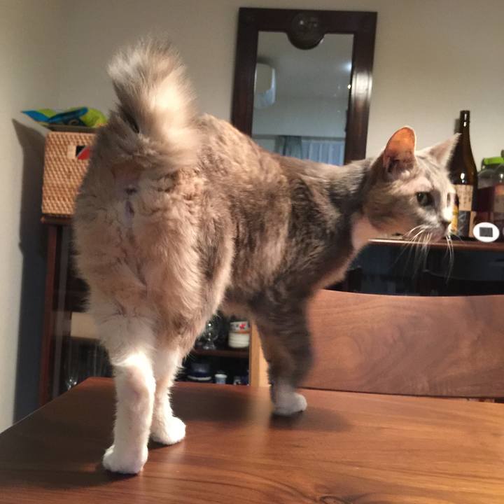 4716fb16 2b0a 47a2 9369 ddd95fd9faf3