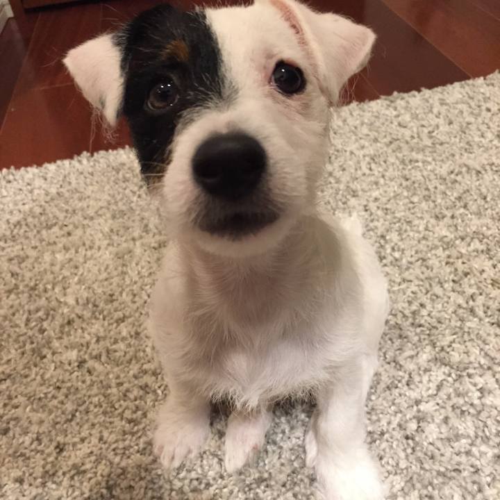 47179126 875f 4573 8255 1c0bcb419d41