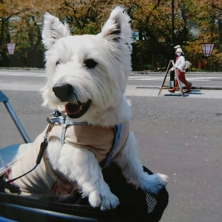 4718d01e 848a 4336 b8e7 646c5068a7d4