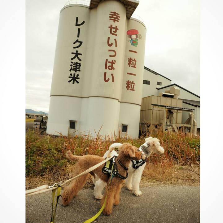 471955cf bf28 44ac 83f3 dfe561153f3c