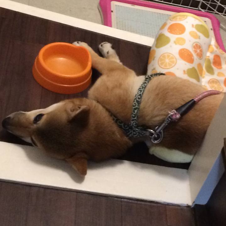 47195eee 2571 4950 b3b4 e4f7202ad6f9