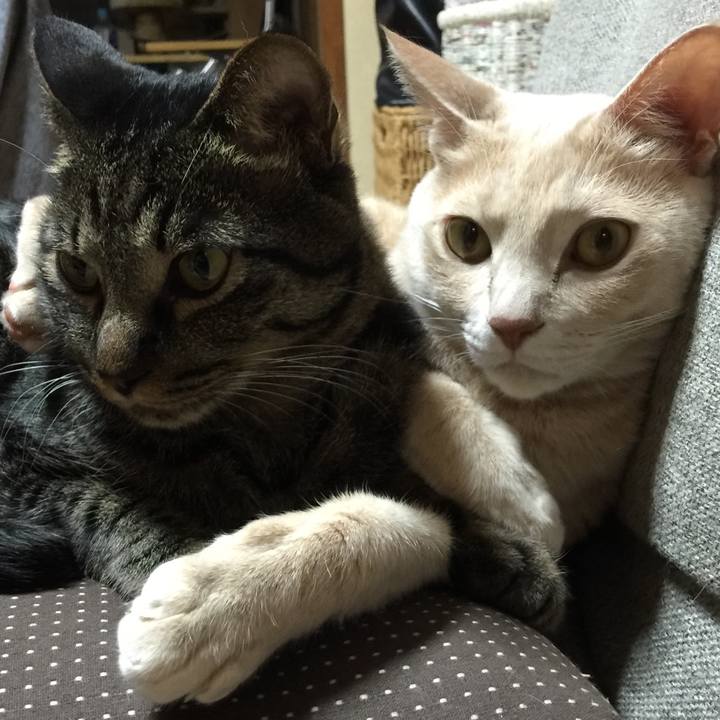 4719e695 41ed 4fb3 886c f3afa4d9b863