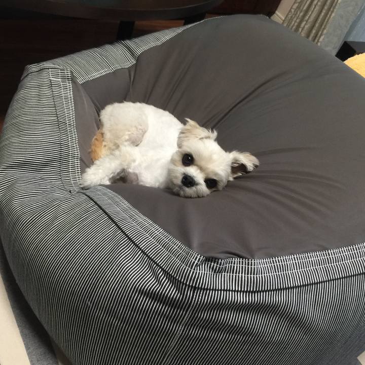 471a0ea7 f23e 45cb b2ed cb3e4d05614c