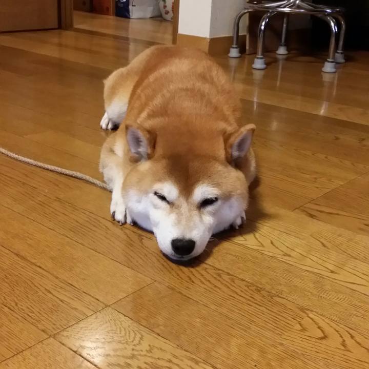 471a12c1 a1a4 461b 8b80 93e5c0b1689f