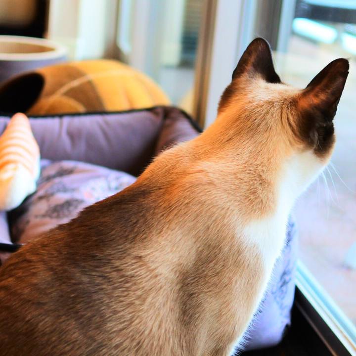 471a1ff2 b89a 4c67 87fe c55906ceaa00