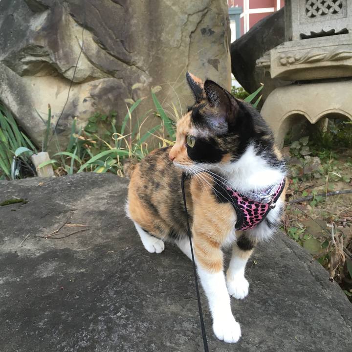 471a6e9c 6bc5 45b8 bb28 d26e43f89f2e