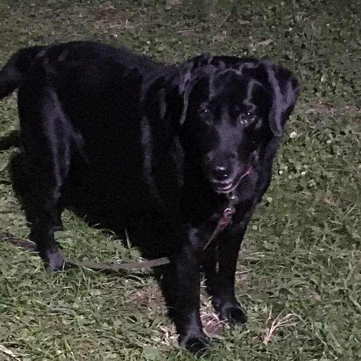 471a9832 e799 43ab 9dc4 8a34ada46697