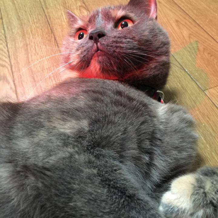 471aad3e a7a8 45e4 885e 061544db7f16