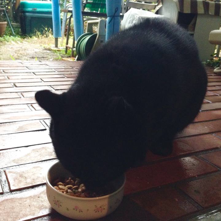 471b4e7b cdb7 40a6 8ee7 a332171e637d