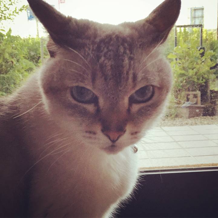 471b5f72 2518 423e be50 f320ba426fa4