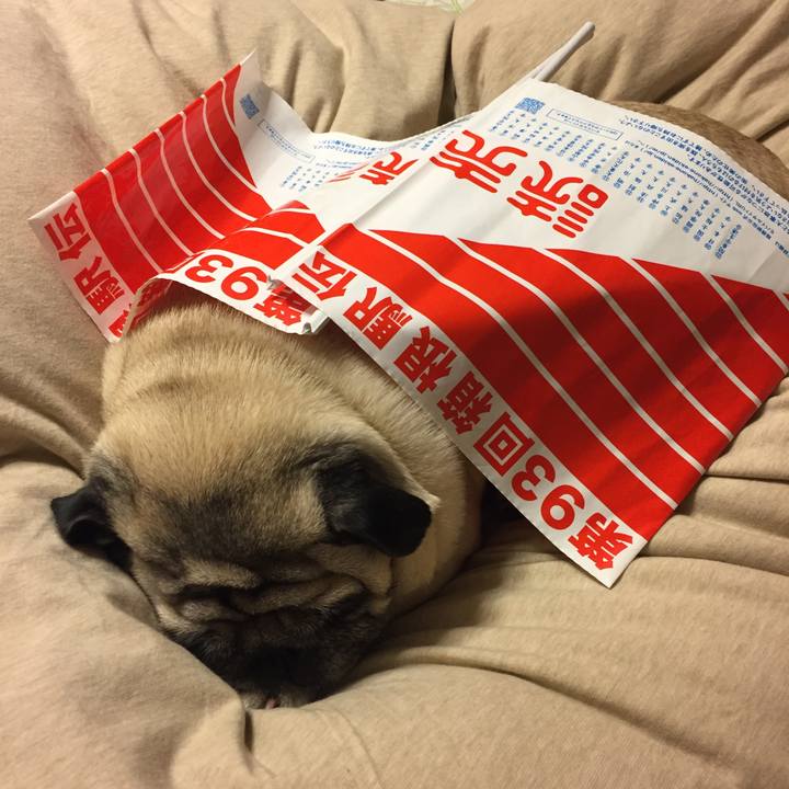 471b7735 22a2 4194 91b4 806fbb1ac9ce