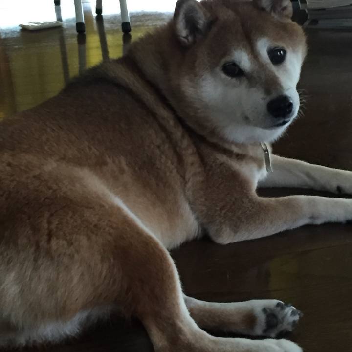 471c9671 f97c 4c9f 94cc 67666e970553