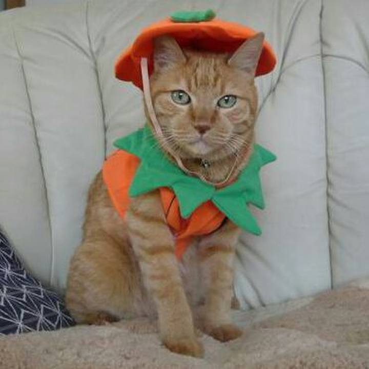 471c9749 dce3 4f6a aa79 aa126b960fe4