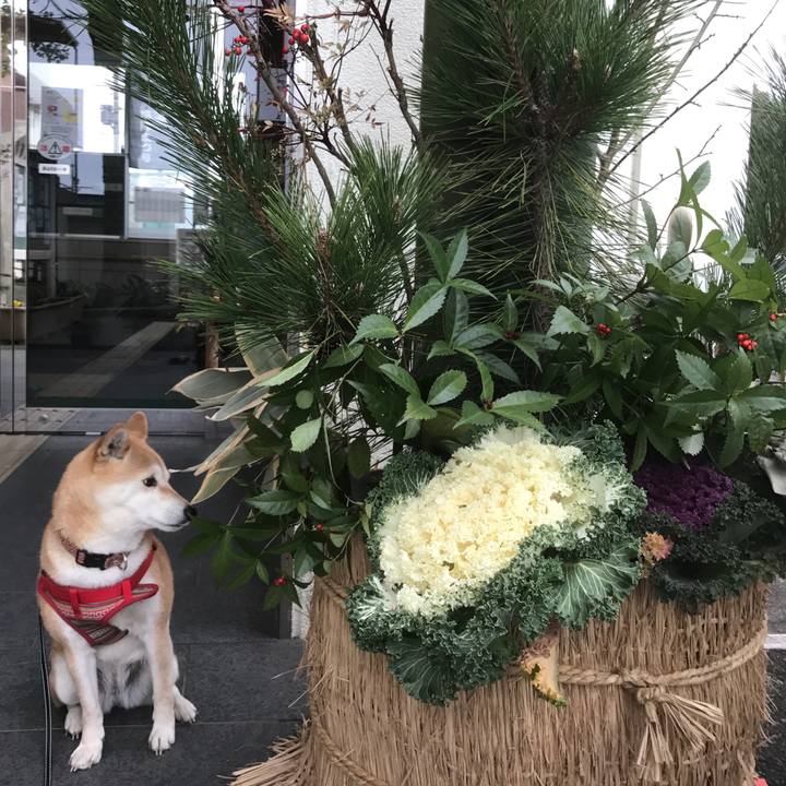 471daa27 650b 4512 9049 08e3d260fda0