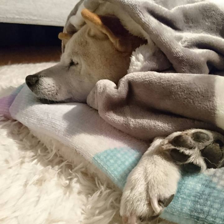 471ded0d dcc8 4061 8700 ad8e388f79f0