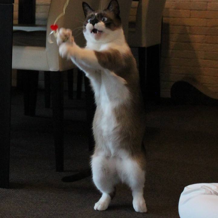 471e0766 6946 435f 84c5 cebd426f86cf