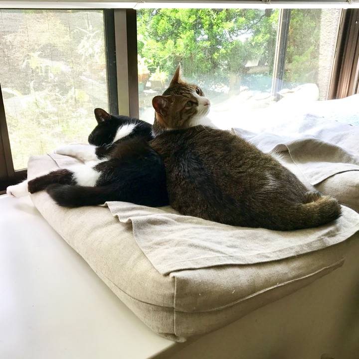 471e6f0d eb1e 451f 8644 cc13cf9df6a5