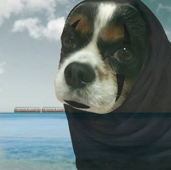 471fb9cc 0629 4fd6 8b67 25b27aab242f