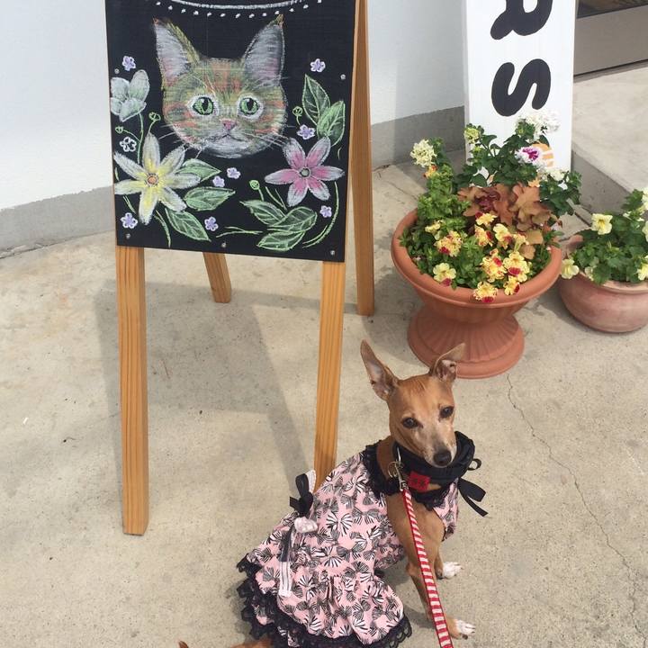 472041a0 640e 4d97 9729 de4146b9520b