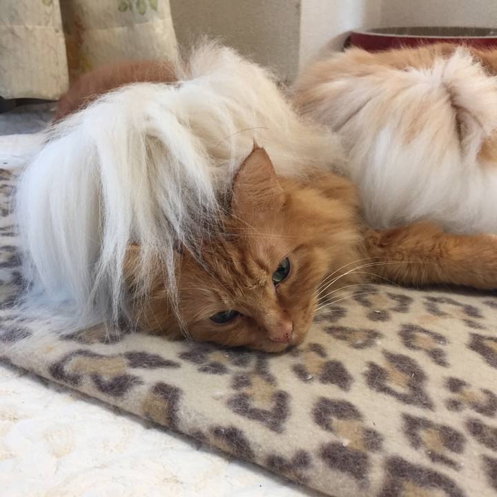 47205daa 2c70 43a0 9aea 4b7d66ee9b7e