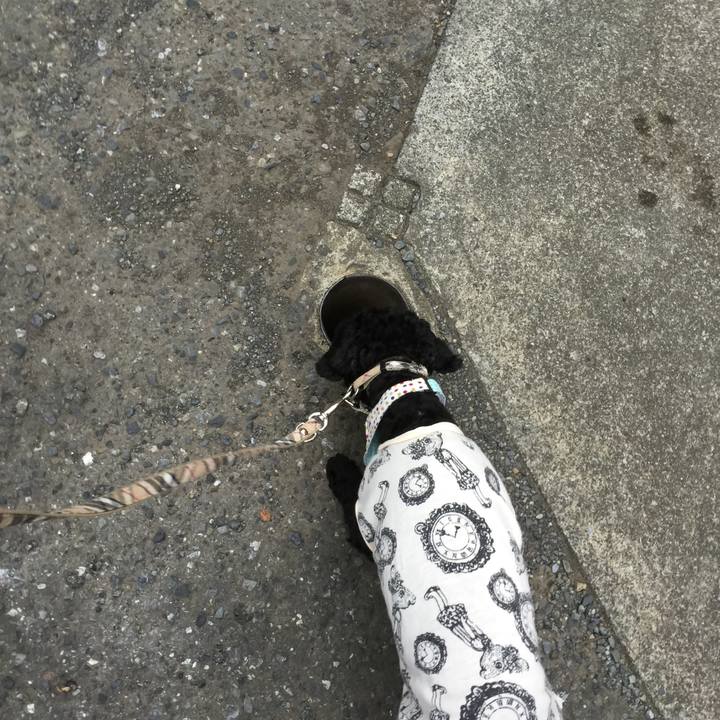 4720bd0a 3cf0 4a2c 8dd3 2b70e33a69de