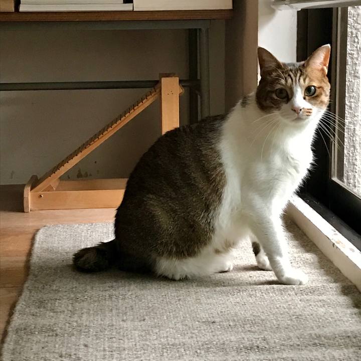 4720dbc6 bd84 4a93 a85f 4a95008bf2c0