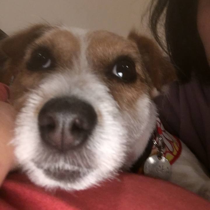 472131d2 3dc8 4d6b a07e 301581610abe