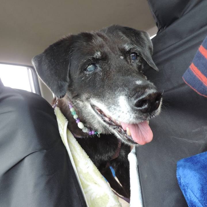 47215df4 5dc3 422d a777 3505a2531acf