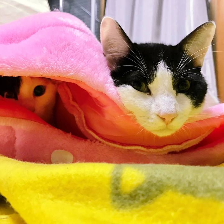 47217fa9 bb46 417b b19c 667f34c1bc06