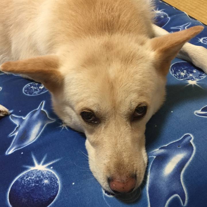 4721c70c 07a8 4c06 8416 8b076fcab035