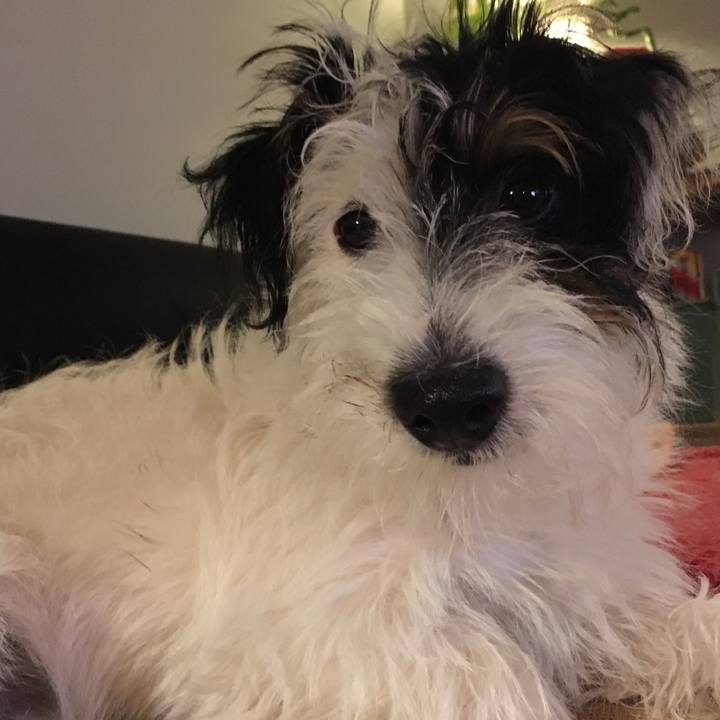 47221f2d 4870 4d29 965b 24ce73cfe99c