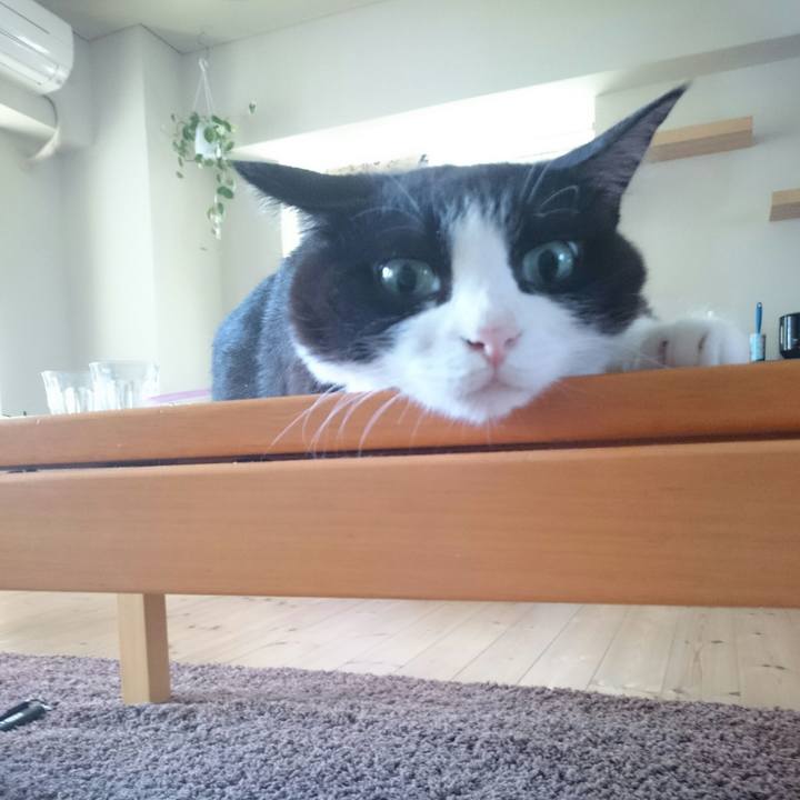 472320d5 3c64 4903 bd51 4e67871519c5