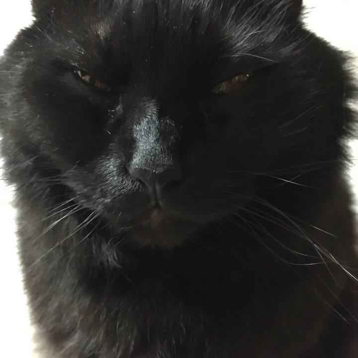 472390dc b2b3 46eb b052 2d7e1c53a929