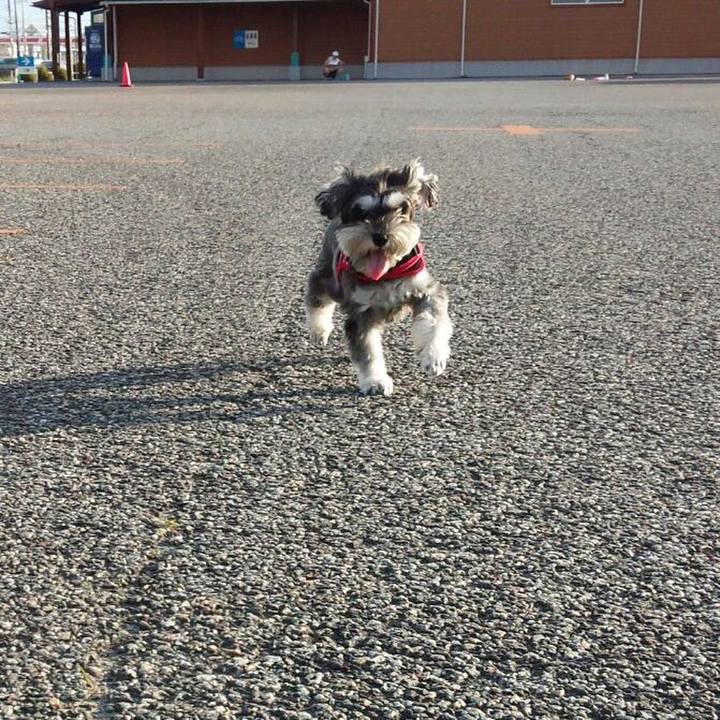 4723e521 065c 4b11 9737 5699d0f9513d