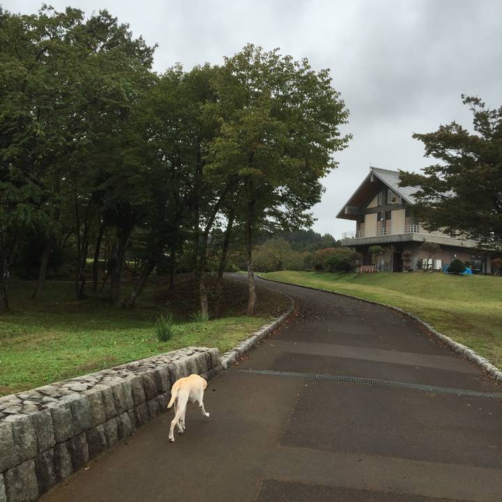 4725a41c ef6f 4fe9 a3c9 48a779a79681