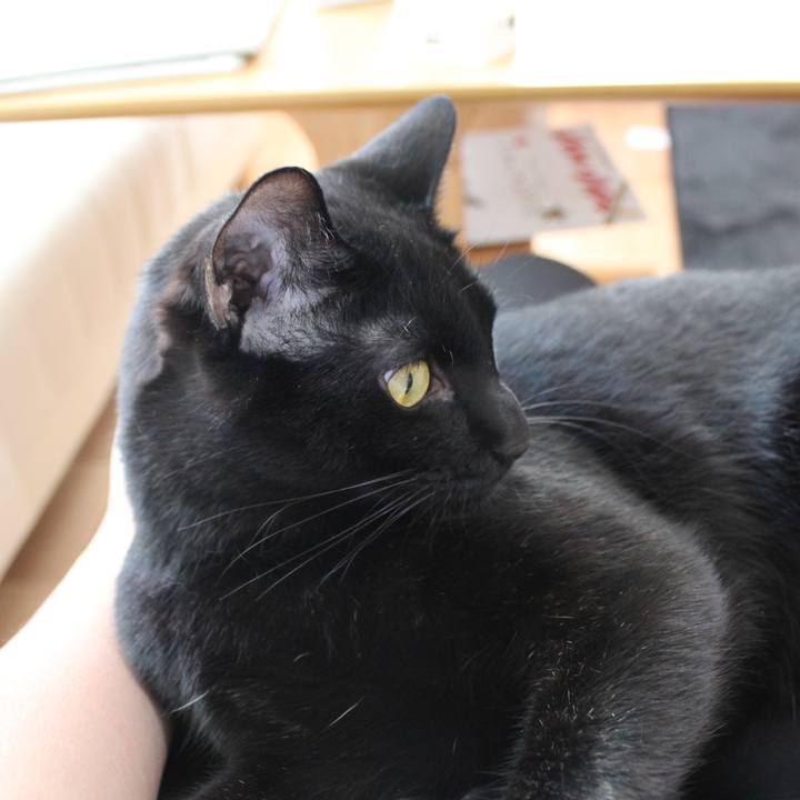 47269905 6af4 4507 9bda 7ecb94c1a799