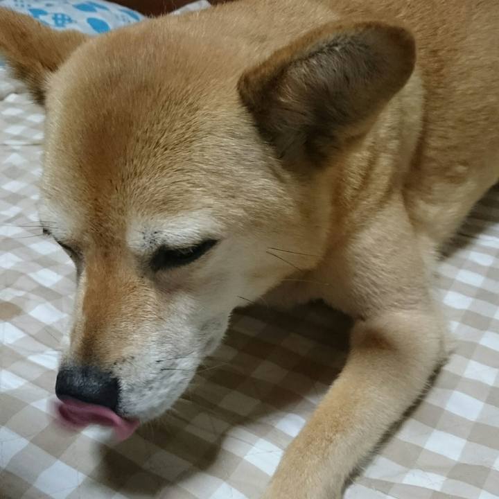 4726aa30 509a 4c36 836e 0c25831cf30e