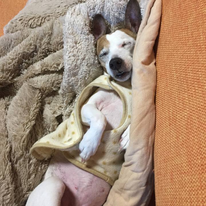 4726adc0 401d 4b3b b0b9 eecfec0b2b00