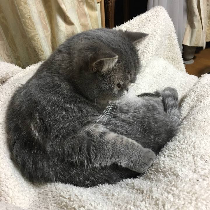 4726fce6 a6b6 4bca b758 9809364e399a