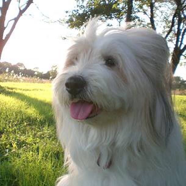 47273b46 f8a1 4def 952e 7e7e54fc6866