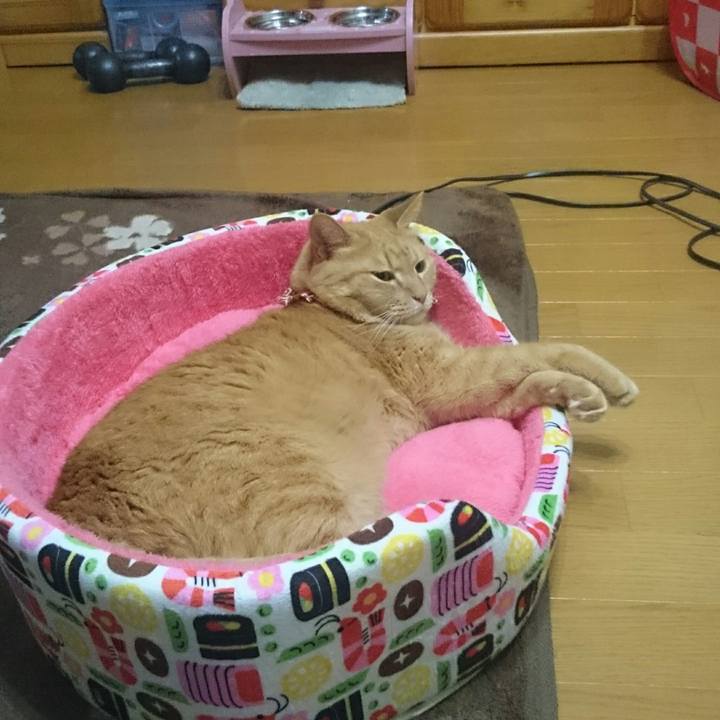 472753f2 1cf1 4495 a9b3 3cafa5651637