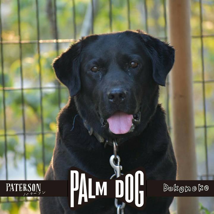 47278ca3 b0fd 4c80 abb3 f689d1c5991a