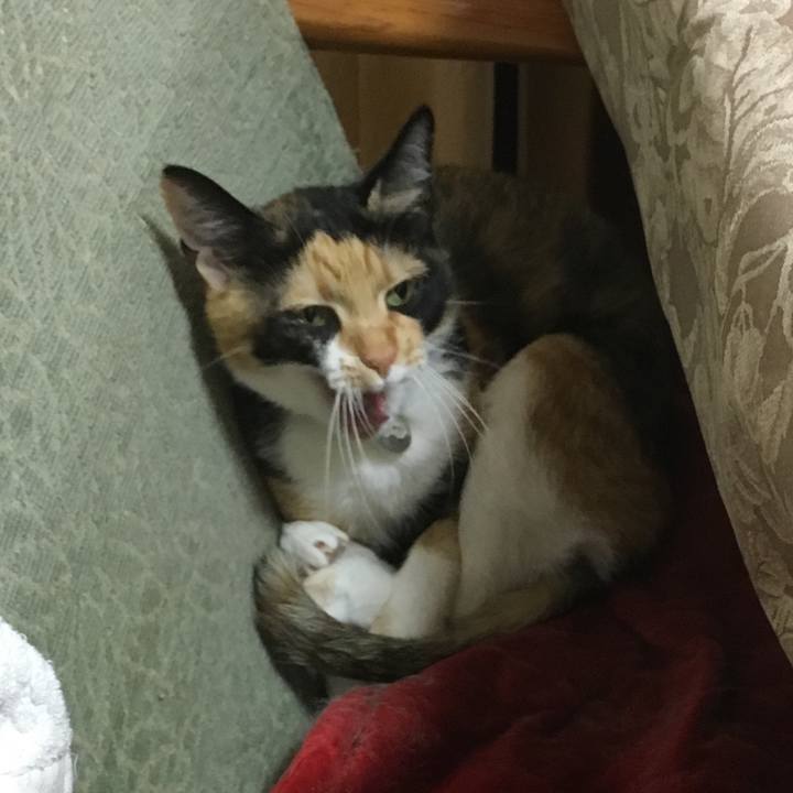 4727e155 6d9f 4bdf 8d37 add1df021a7a