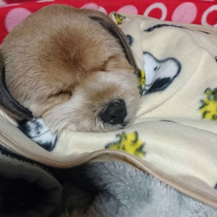 472803e3 edb9 4bba 81c8 84640905628a